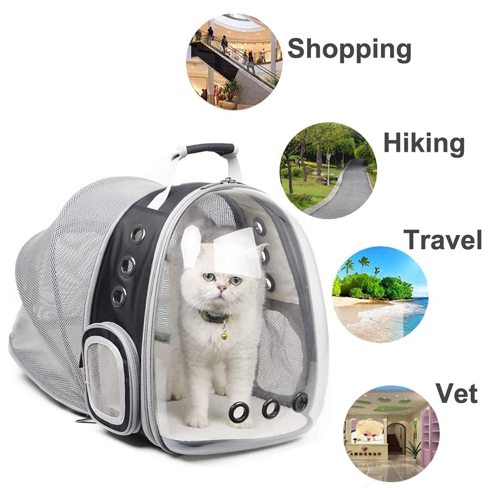 Cat Bag Summer With Cat Go Out Bag Breathable