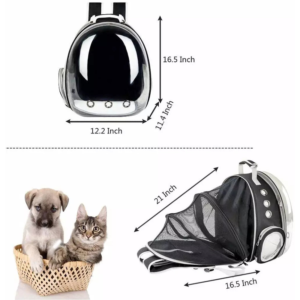 Cat Bag Summer With Cat Go Out Bag Breathable