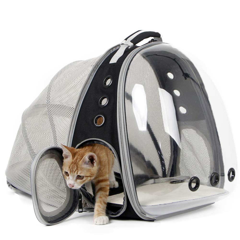 Cat Bag Summer With Cat Go Out Bag Breathable