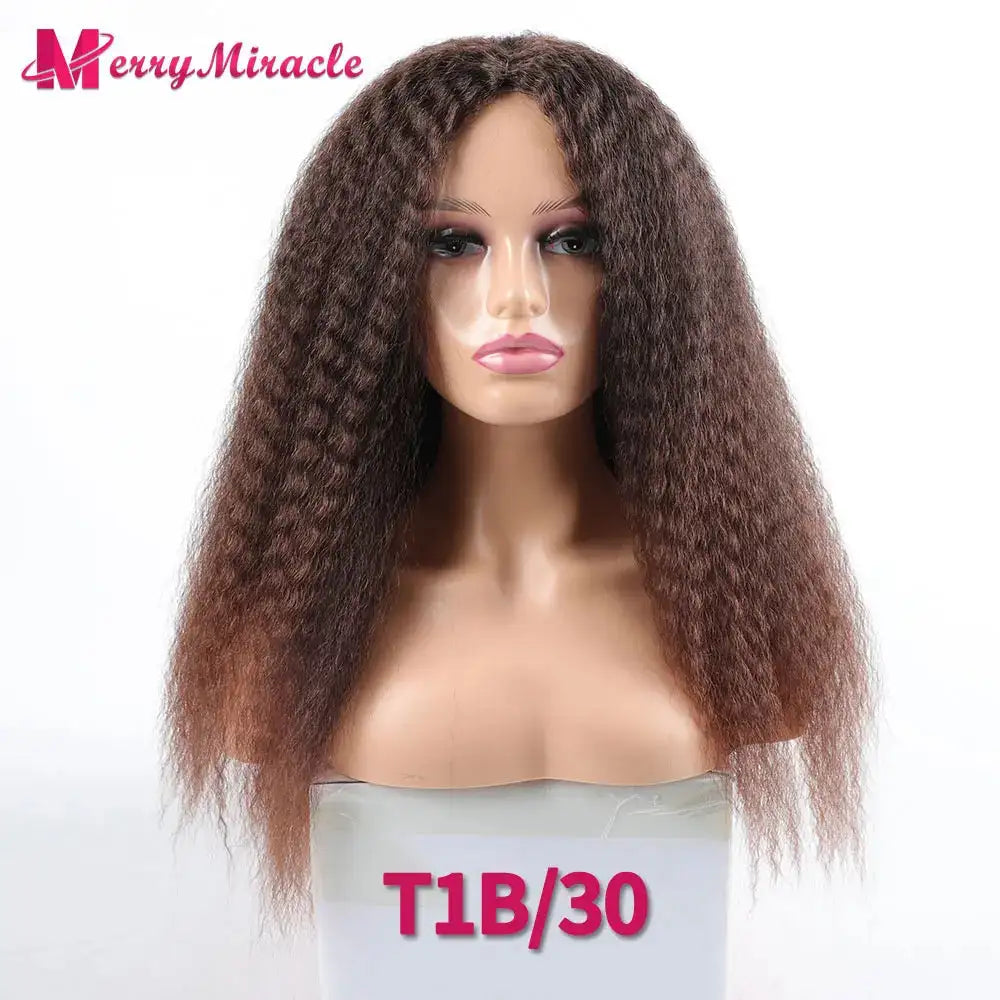 Afro Kinky Curly Hair Wigs