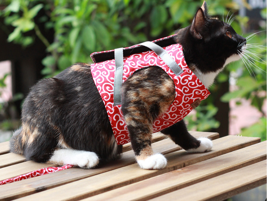 Cat towing rope