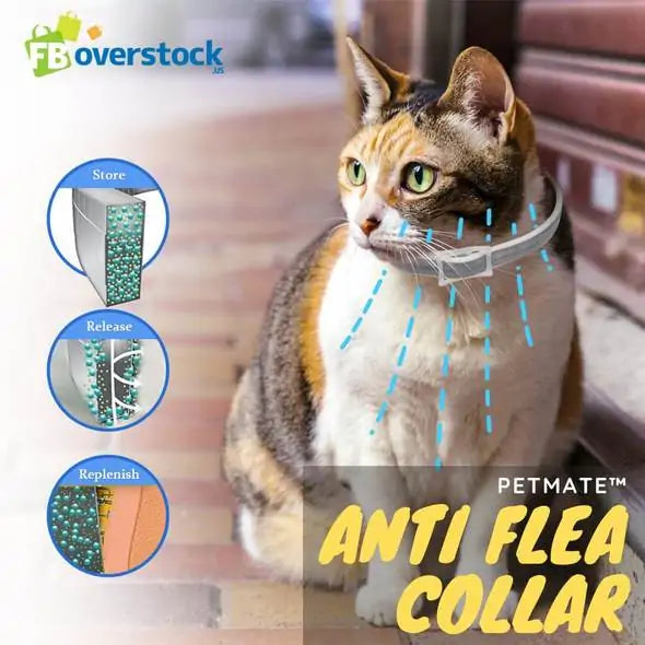 Petmate Anti Flea Collar - Small to Medium Dog